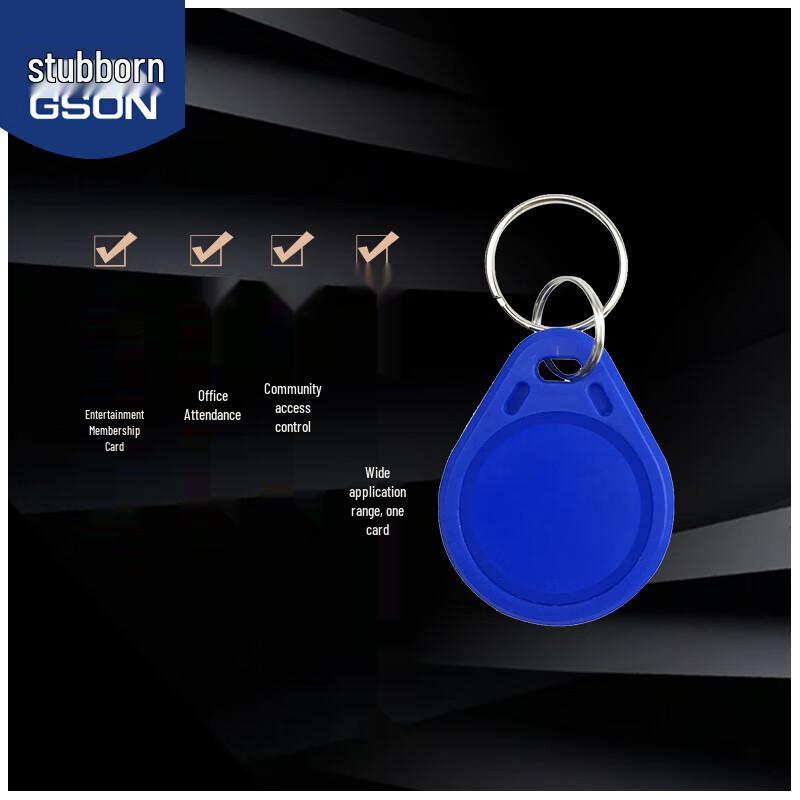 GS GSON RFID Access Control Cards & Key Fobs (20-Pack) CN plug (adapter included)