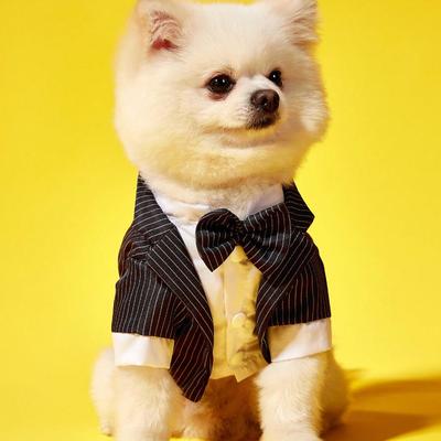 1pc Stripe Patterned Pet Suit 2 In 1 Tuxedo, Suitable for Weddings and Parties