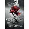 Vengeance Paperback UKN2771