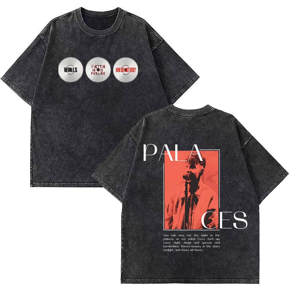 Louis Tomlinson Lemonade Tour Merch Vintage Washed T Shirt Unisex Summer Fashion Tshirts Oversized Aesthetic Trendy Tshirts