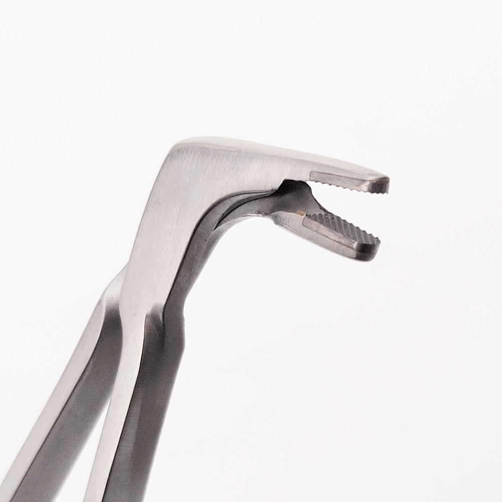 Dental Matrix Halter Forcep Dental Kieferorthopädische Matrizen Forcep Matrizen Platzierung Pinzette Spitze mit T/C oder edelstahl Zahnarzt Chirurgische Instrument