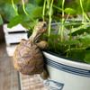 Turtle Statue Climbing Turtle Figurine Plant Decorations Resin Sculpture Tortoise Statue Miniatures Outdoor Statue