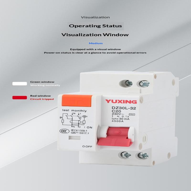 DZ30LE Residual Current Circuit Breaker 230V 1P+N Residual Circuit Breaker With Over And Short Current Leakage Protection RCBO M