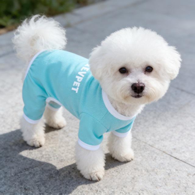 Vêtements pour animaux de compagnie pour chiens et chats: Combinaison à quatre pattes, Anti-moustiques, pour Grandes Races - Idéale pour la Climatisation, Teddy, Bichon.