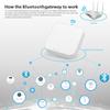 Tuya Bluetooth Smart Home Gateway with Alexa Support