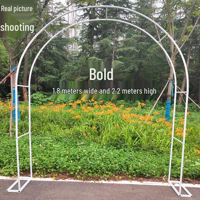 Junran European Style Courtyard Trellis for Climbing Plants and Roses