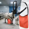 Anti-Zucht-Schürze für Schafe Schafrock Kontrolle Ziege Anti-Paarung Mit Verstellbarem Riemen Vieh Gesundheitszubehör Für Bauernhof