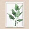 Bohemian Watercolor Tropical Plant Canvas Painting Monstera Banana Leaf Eucalyptus and Fern Art Posters Aesthetic Bedroom Decor