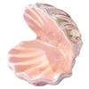 Elegant Ceramic Shell Shaped Trinket Tray Decorative Home Decorative Jewelry Organizers For Jewelry Display Storage