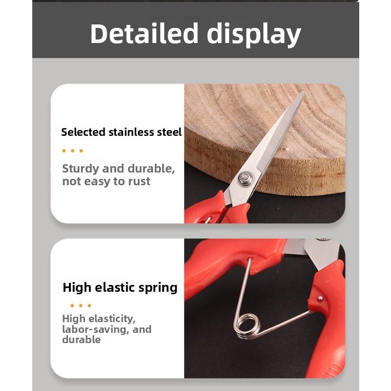 Garden Pruning Shears,Garden Fruit Picking Shears, Grape Pruning Shears, Garden Tool Extenders, Flower Arrangement Scissors, Tree Fruit Pruning Shears