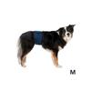 Belly Band for Male Dog - TRIXIE - 45-55 Cm - Dark Blue - Breathable Mesh - Incontinence - Medium Breeds