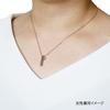 Petit Jewel Hidden Heart Pair Set of Stainless Steel and Christmas YU-NA Necklaces, 2, 316L, Men's Women's, Couple's Gift, Anniversary,