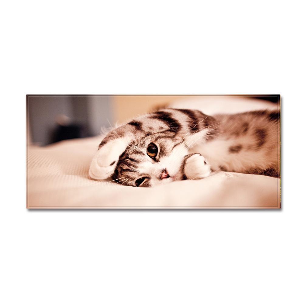 Animal Sand Wardrobe Shoe Cabinet Long Floor Mat