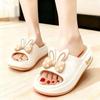 Women's Thick-Soled Beach Flip-Flops: 2023 Summer Fairy Style with Skirt Floral Student Sandals