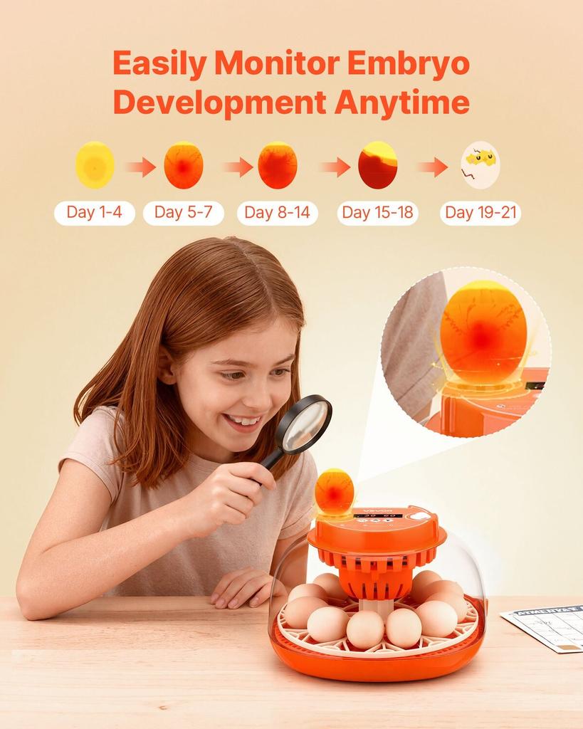 12 Egg Incubator, Automatic Egg Turner with LED Candler, Temperature & Humidity Control, 360° View Clear Window, Poultry Eggs Incubator for Home Farm,