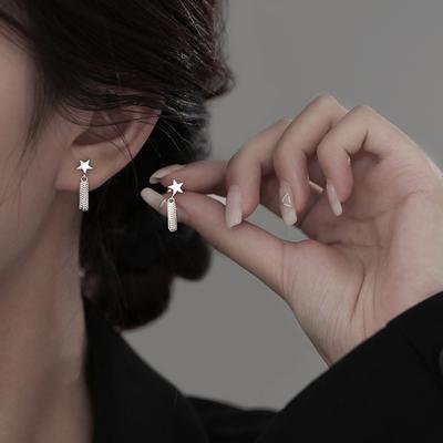 Tassel Star Earrings Women's Light Luxury Simple Earrings