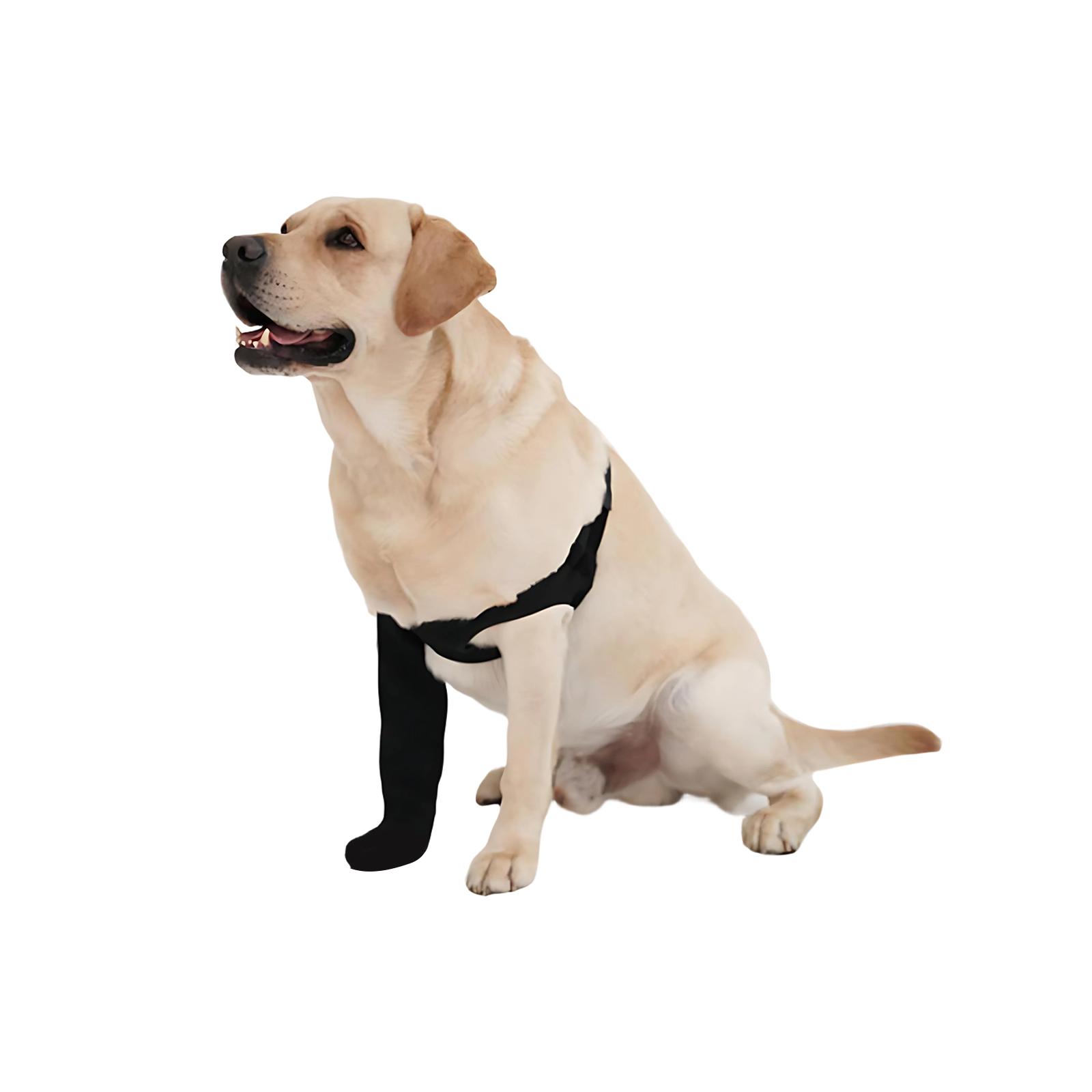 

Передняя правая нога Сильная поддержка Колено Собачья наколенник Для задней ноги M чёрный