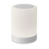 Wireless Camping Speaker