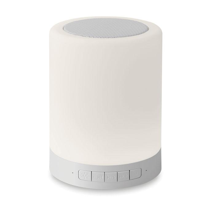 Wireless Camping Speaker