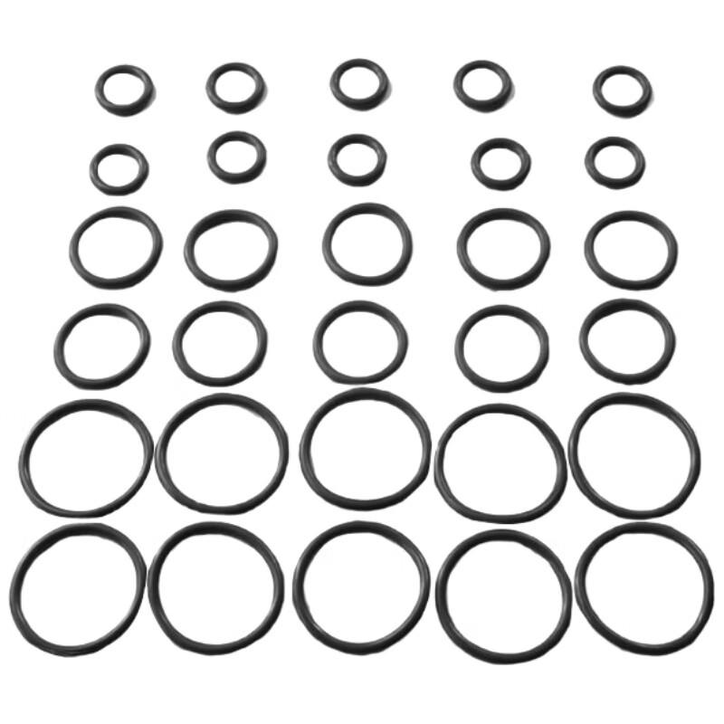 

Fluororubber O-Ring Seal