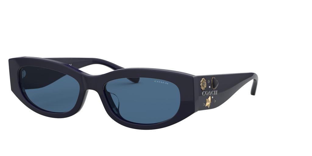 HC8302BU L1163 [COACH]