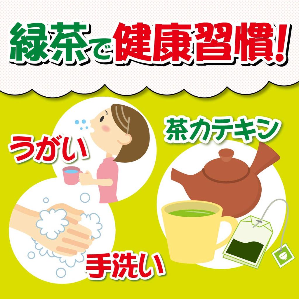 Itoen Taste of the Day Premium Steamed Green Tea (100% First-Pick Tea) 100g (1000 Tea Leaves)
