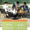 Wood Grain Camping Folding Chair Carbon Steel Durable Picnic Fishing Chair Comfortable Armrest Sturdy Kermit Chair Household Use