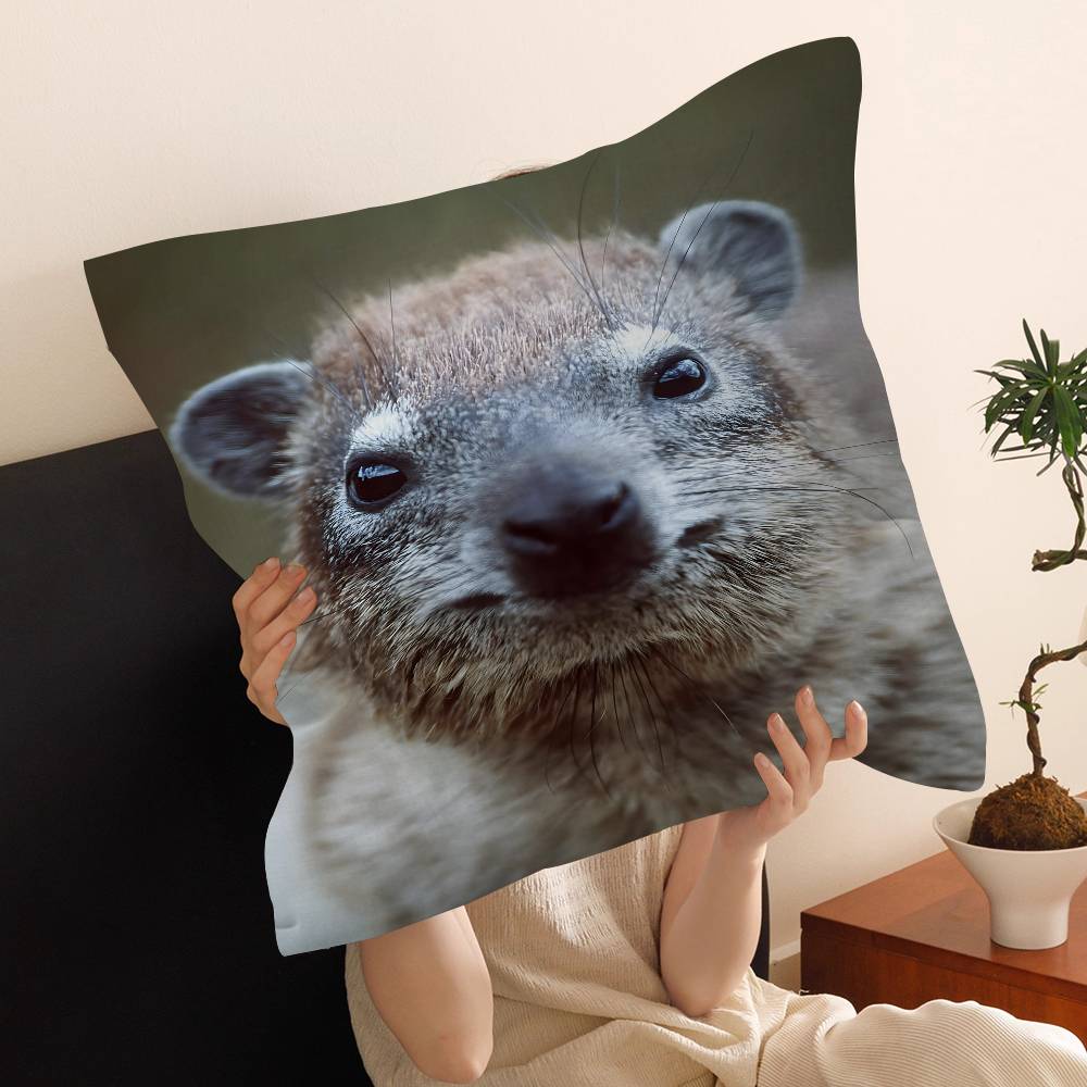 Rock Hyrax Animal Cushion Cover Pillow Cover Decor Pillowcase Printed Cushion Case for Couch