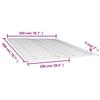 VidaXL Lattes de rechange pour sommier avec 34 lattes 2 pcs 100x200 cm, cadre de lit, sommier, Latte de rechange pour 3203722