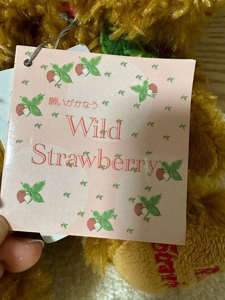 [USED] Wild Strawberry Teddy Bear with Music Box
