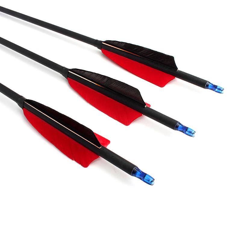 Junshi Mixed Carbon Arrows (3-Pack)