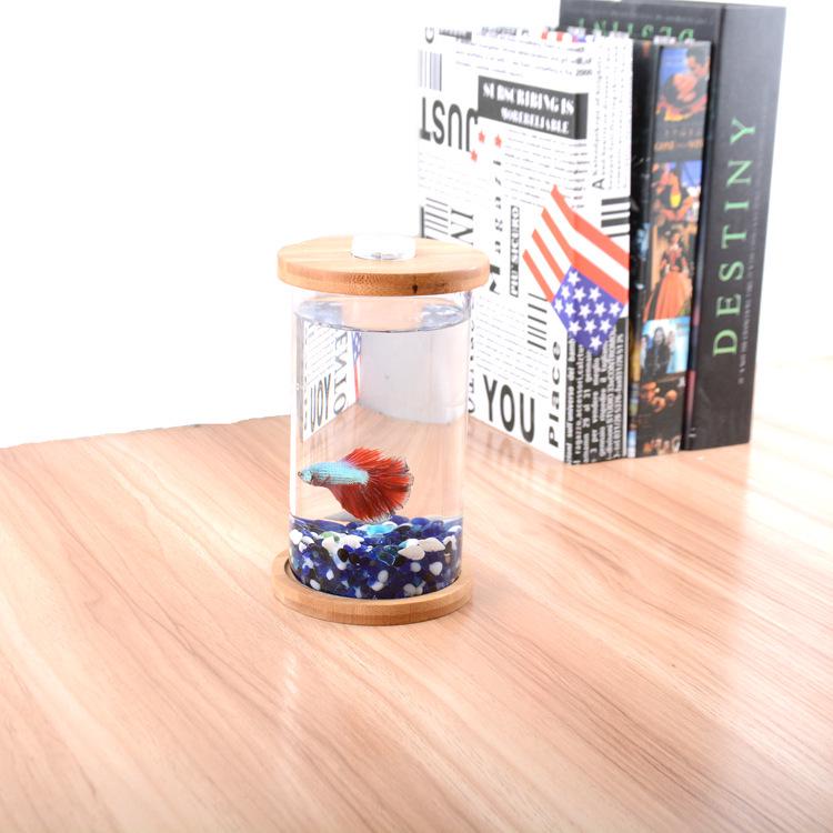 Eco-Friendly Mini Fish Micro-Landscape Aquarium: No-Water-Change Desktop Tank for Betta Fish