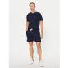 Спортивные шорты Polo Ralph Lauren 714965506004