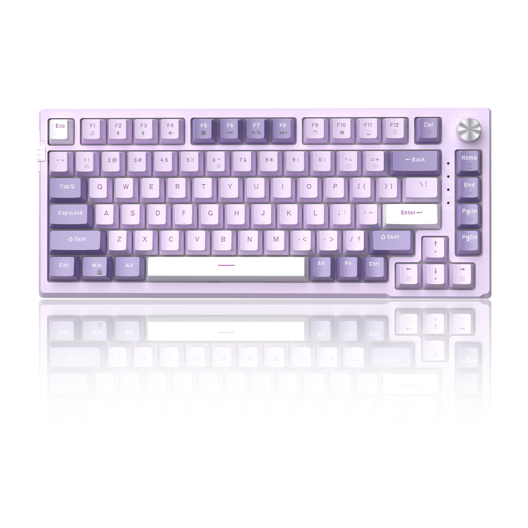 

MageGee Gaming Keyboard Mechanical Keyboard Gaming US Layout Tenkeyless Keyboard RGB Wired USB Compact Gaming Keyboard Compact Keyboard with Great