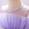 2024 Girls' European & American Puffy Tulle Birthday Princess Dress
