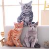 Adorable 3D Cat Plush Doll Sofa Cushion for Home Decor and Gifts