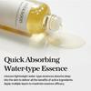 Mixsoon Panax Ginseng Essence, 100mL