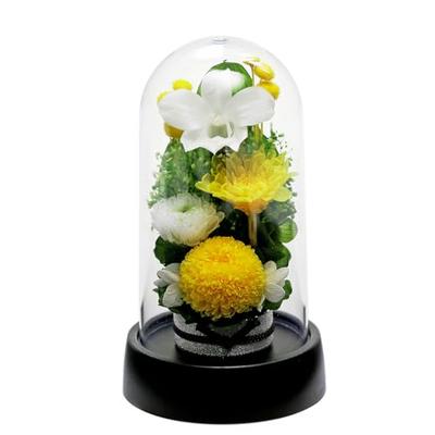 Art for Seasons Mini Mum Mini Dome Yellow Preserved Flowers
