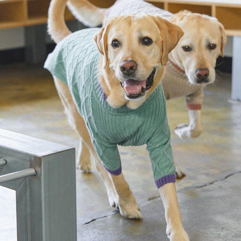 MUNIKUND Gugu Cashmere Knit - Mint