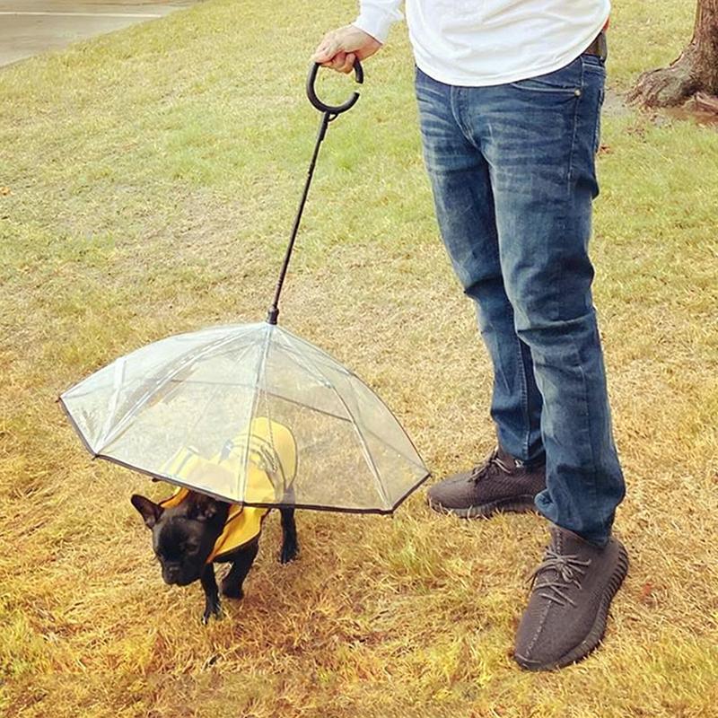 Ombrello Trasparente a Forma di C per Animali Domestici, Guinzaglio Regolabile per Passeggiate con il Cane nei Giorni di Pioggia Accessorio Ombrello per Cani