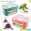 Simulation Animal Growth Cycle Storage Box Set Ornament Mosquito Spider Ladybug Frog Earthworm Snail Model