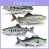 Peixes e animais aquáticos – Decoração de aquário