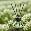 200ml Aromatherapy Reed Diffuser Set Rattan Sticks Essential Oil Fragrance Long-Lasting Home Fragrance for Bedroom Living Room