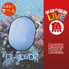Set of 5 Foaming Illustrated Live Fish Bath with Mini Illustrated Ocean Gakken Carbonated Bath for Boys and Elementary School Includes a convenient