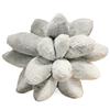 25cm Lifelike Succulent Plants Plush Stuffed Toys Soft Doll Creative Potted Flowers Pillow Chair Cushion for Girls Kids Gift