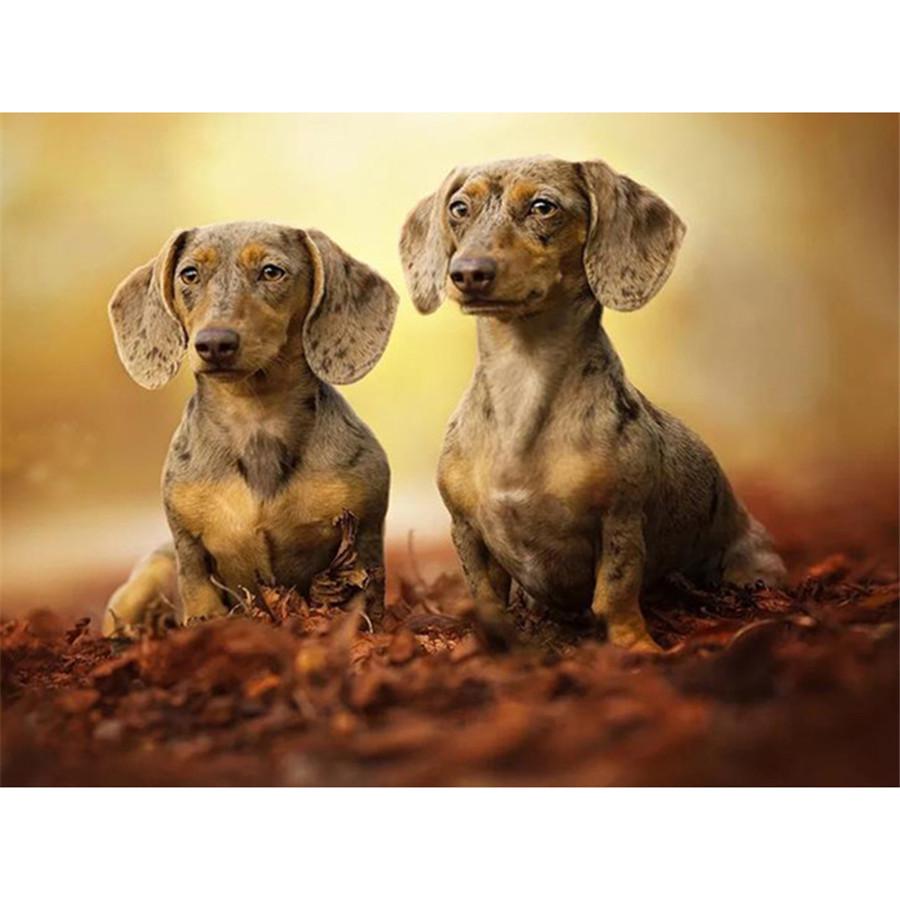 Kompletní 5D kutilské diamantové malování Všechny druhy psů Diamantové vyšívání Sady křížkového stehu Domácí dekorace Ručně vyrobený dárek