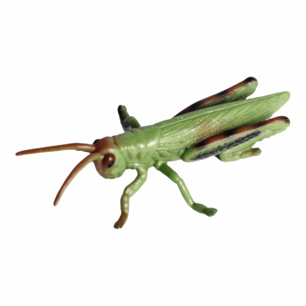 Simulation Animals Model Set Plastic Kids Education Toy New Children Novelty Toy  Horror Props Grasshopper