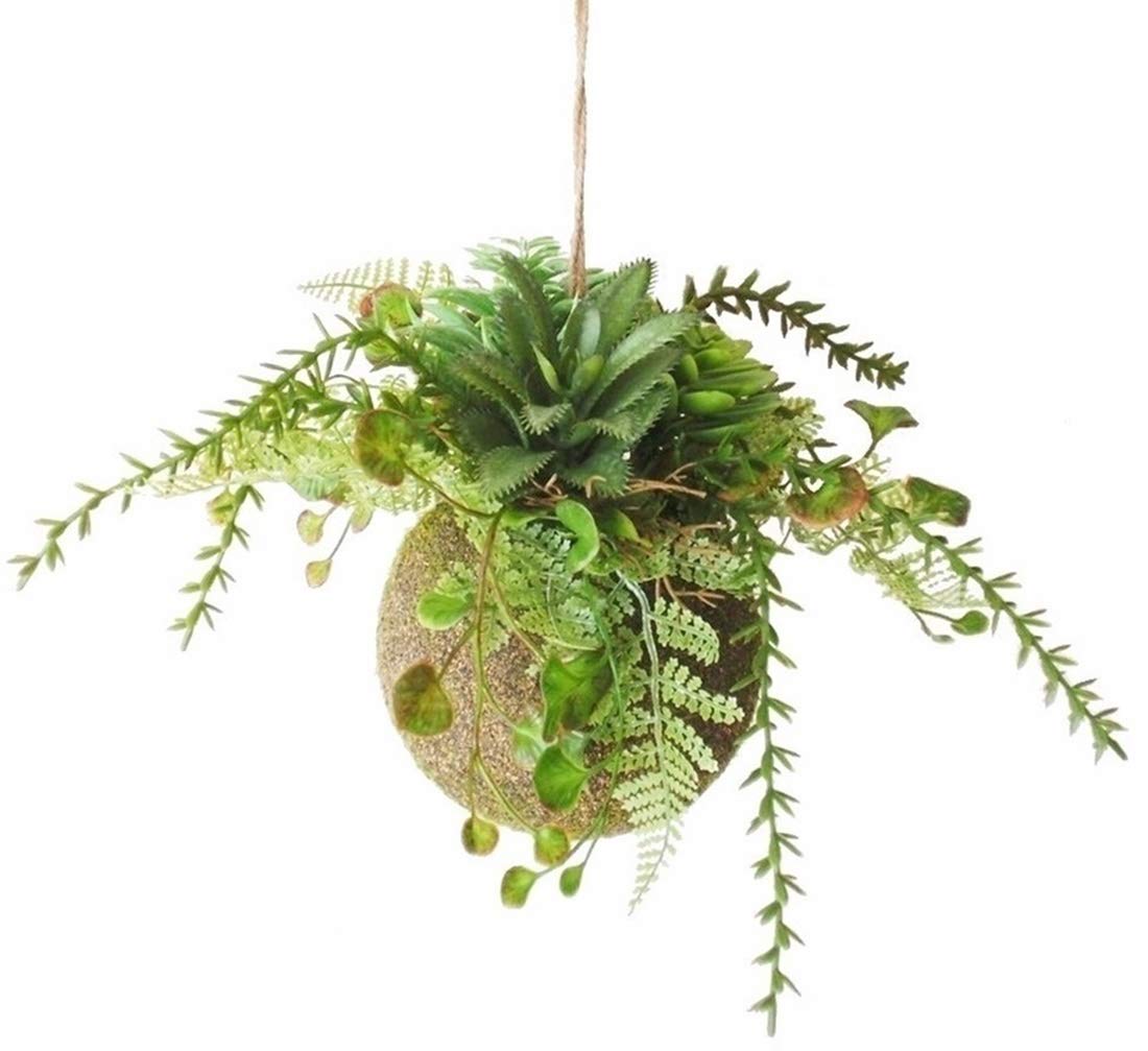 

MedianField [Faux Moss Ball with Twine] Faux Succulents, Hanging Plants, Artificial Greenery, Succulents, Cacti, Decorative Plants, Stylish Hanging
