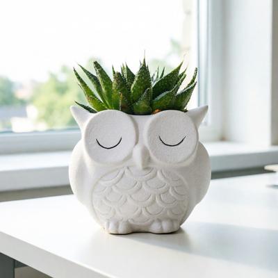 Deko & Wohnaccessoires – Dekorative Blumentöpfe