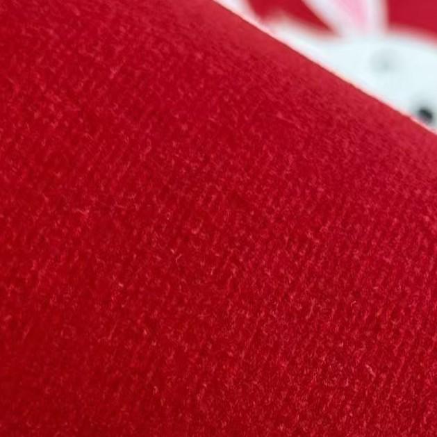 2026 Year of the Horse Red Doormat: Water Absorbent, Quick-Drying, Dirt Resistant Festive Entrance Mat